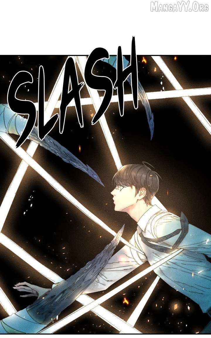 ch 41 24