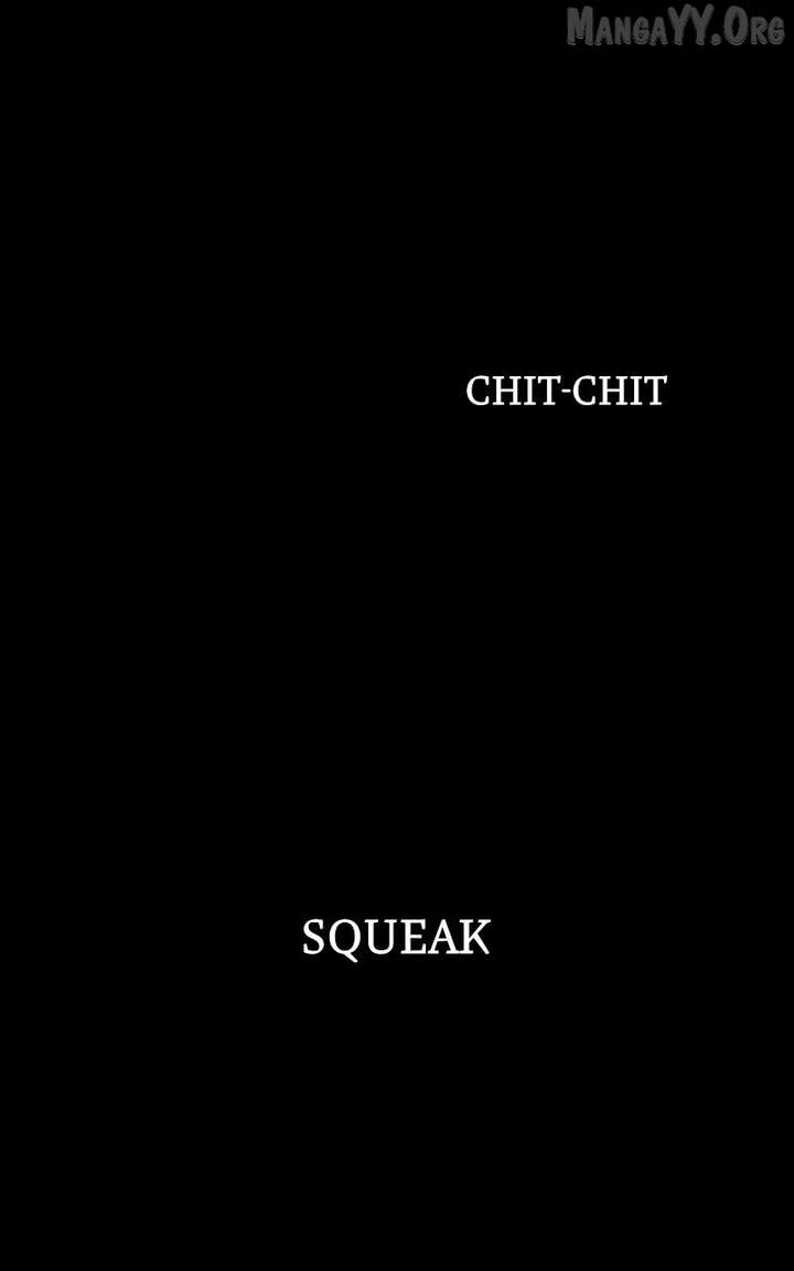 ch 41 42