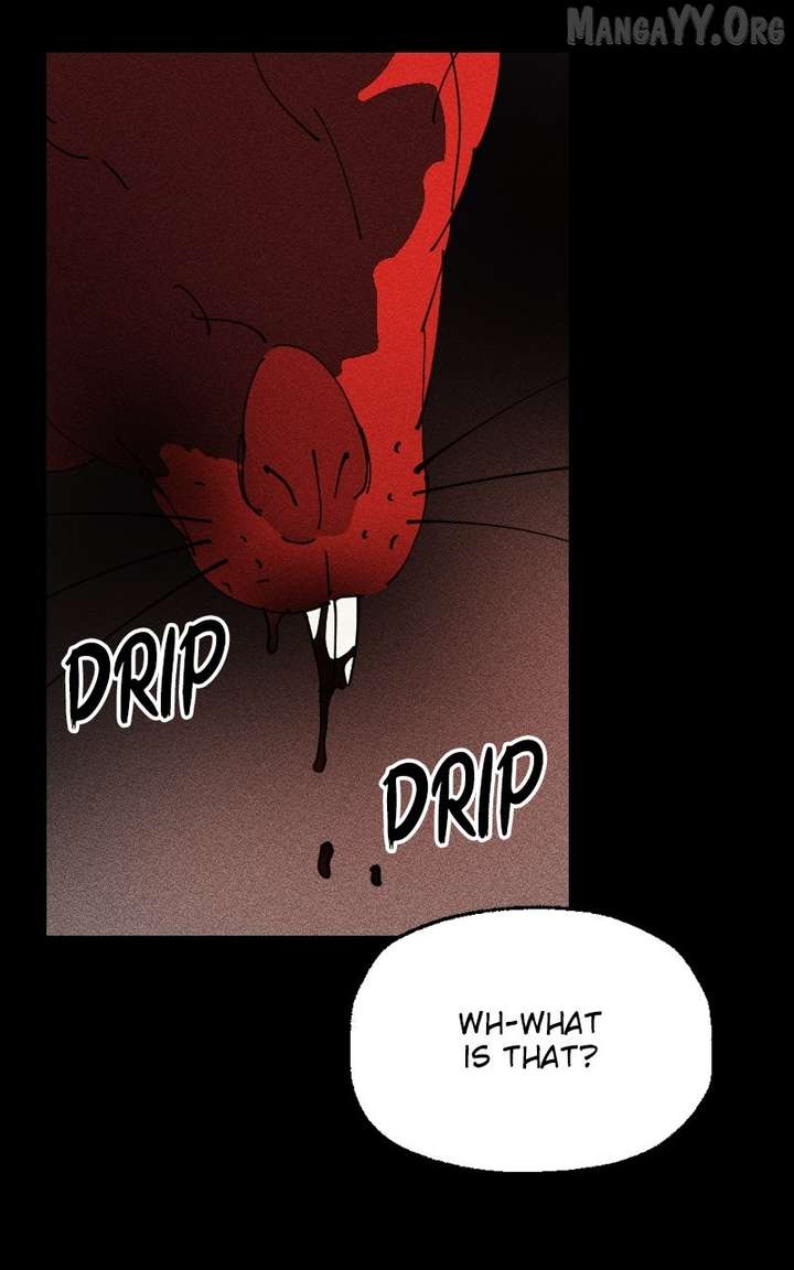 ch 41 43