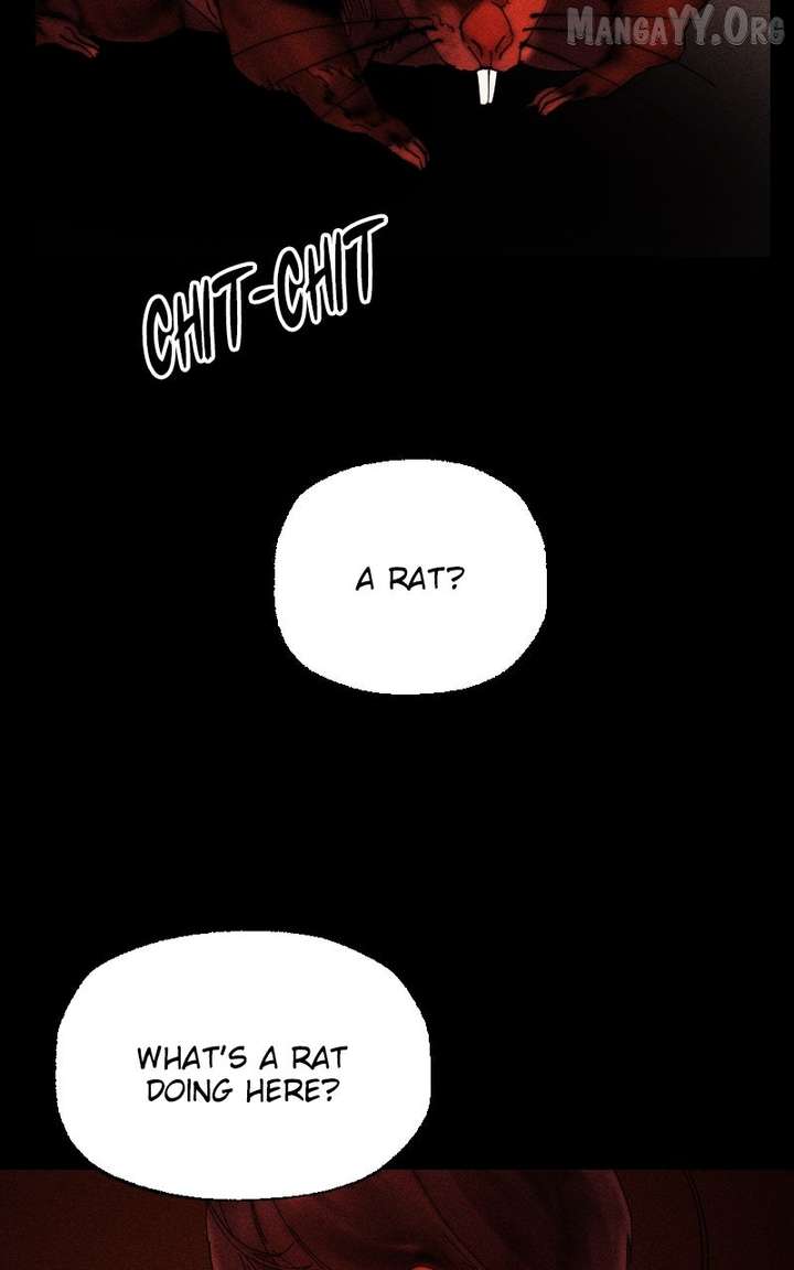 ch 41 45