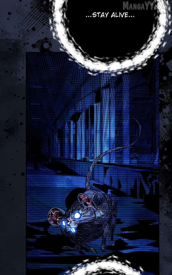 ch 41 71