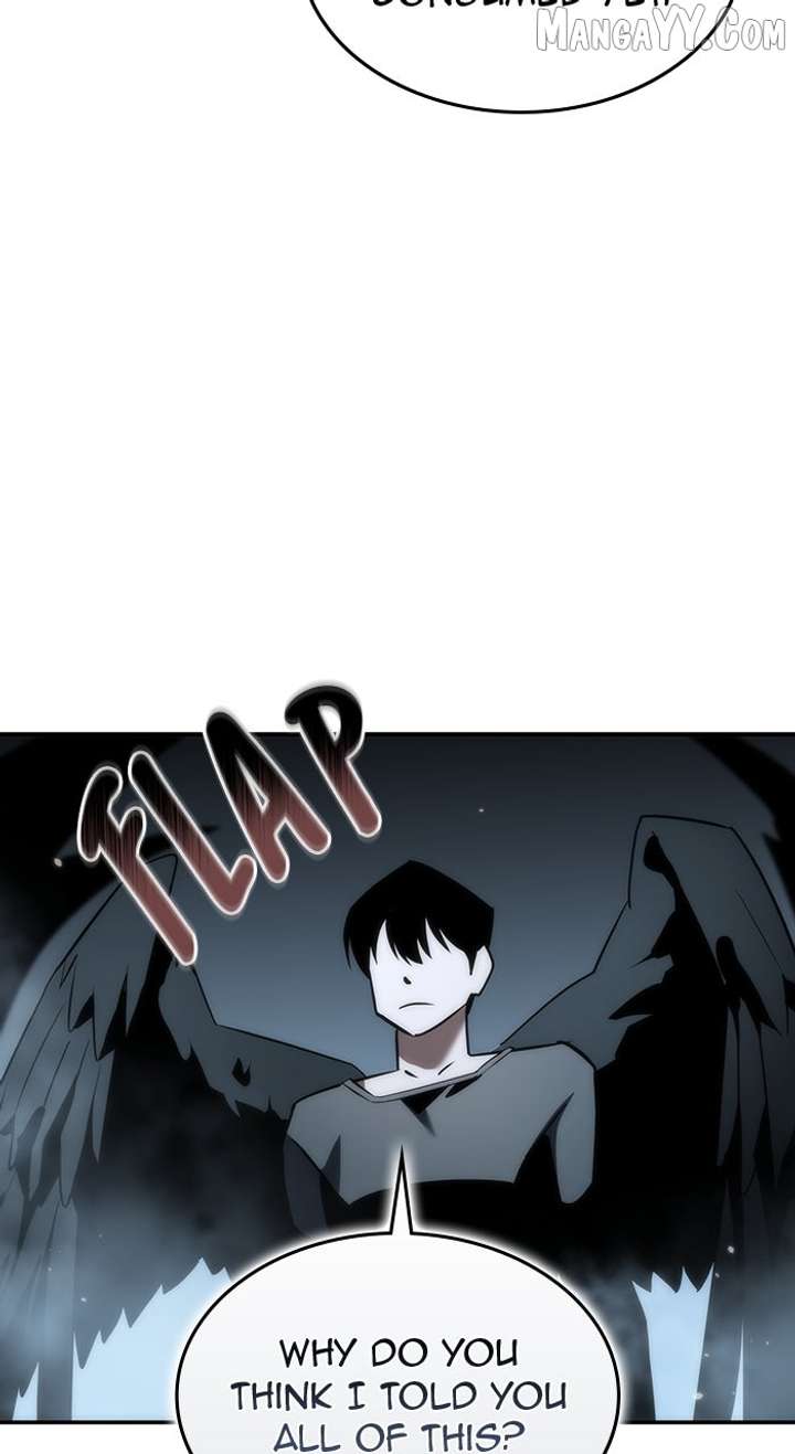 81