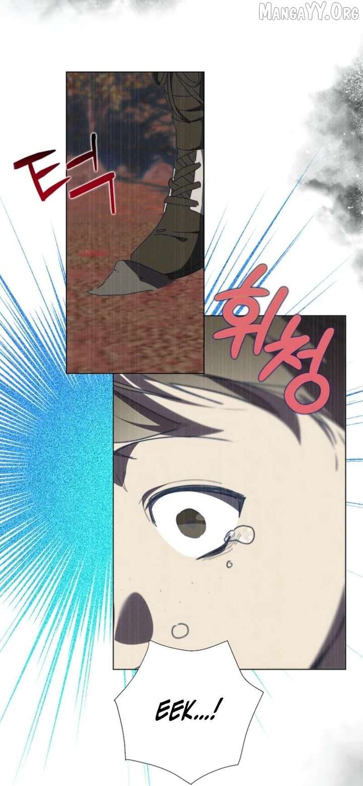 ch 65 17