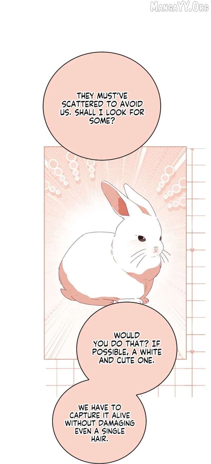 ch 65 41