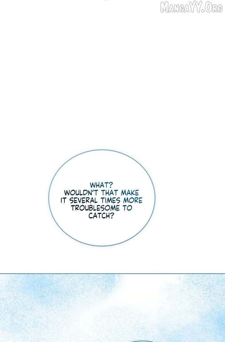 ch 65 42
