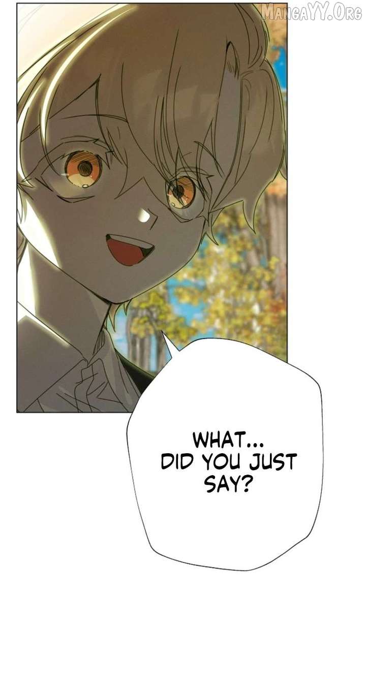 ch 65 71