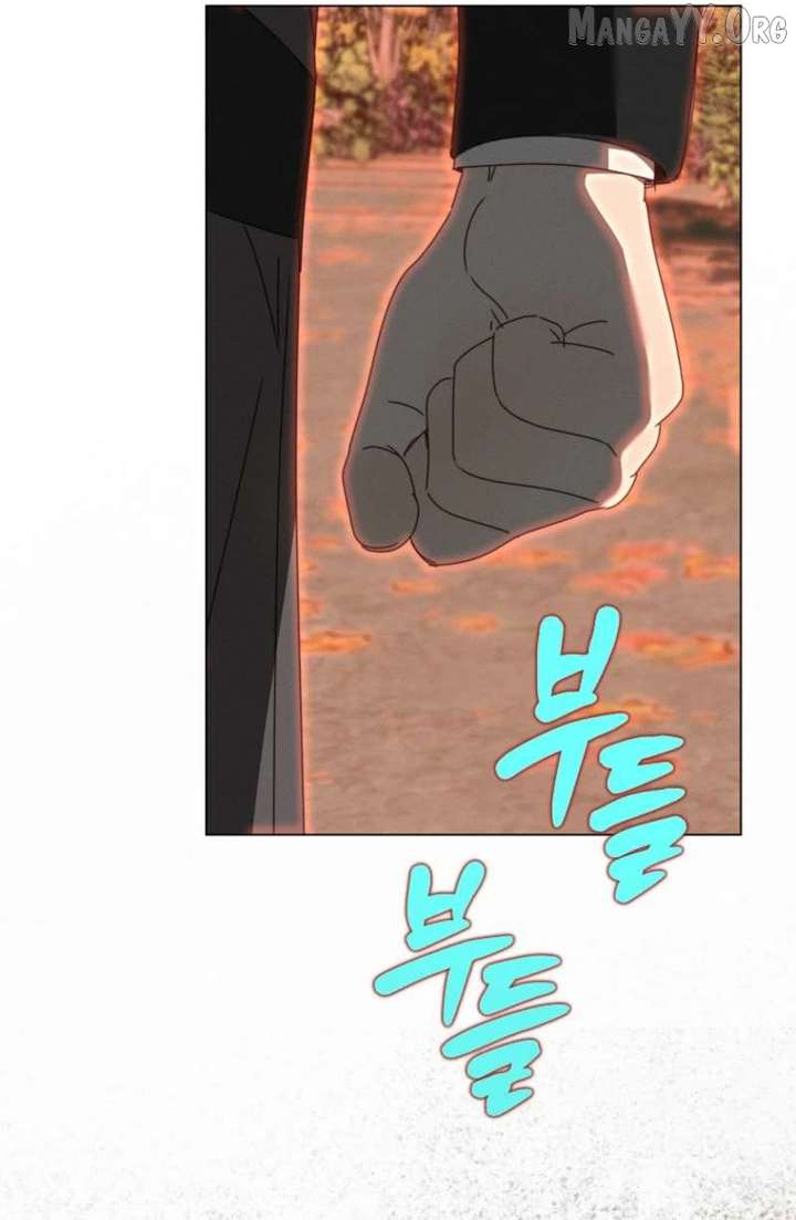 ch 65 81