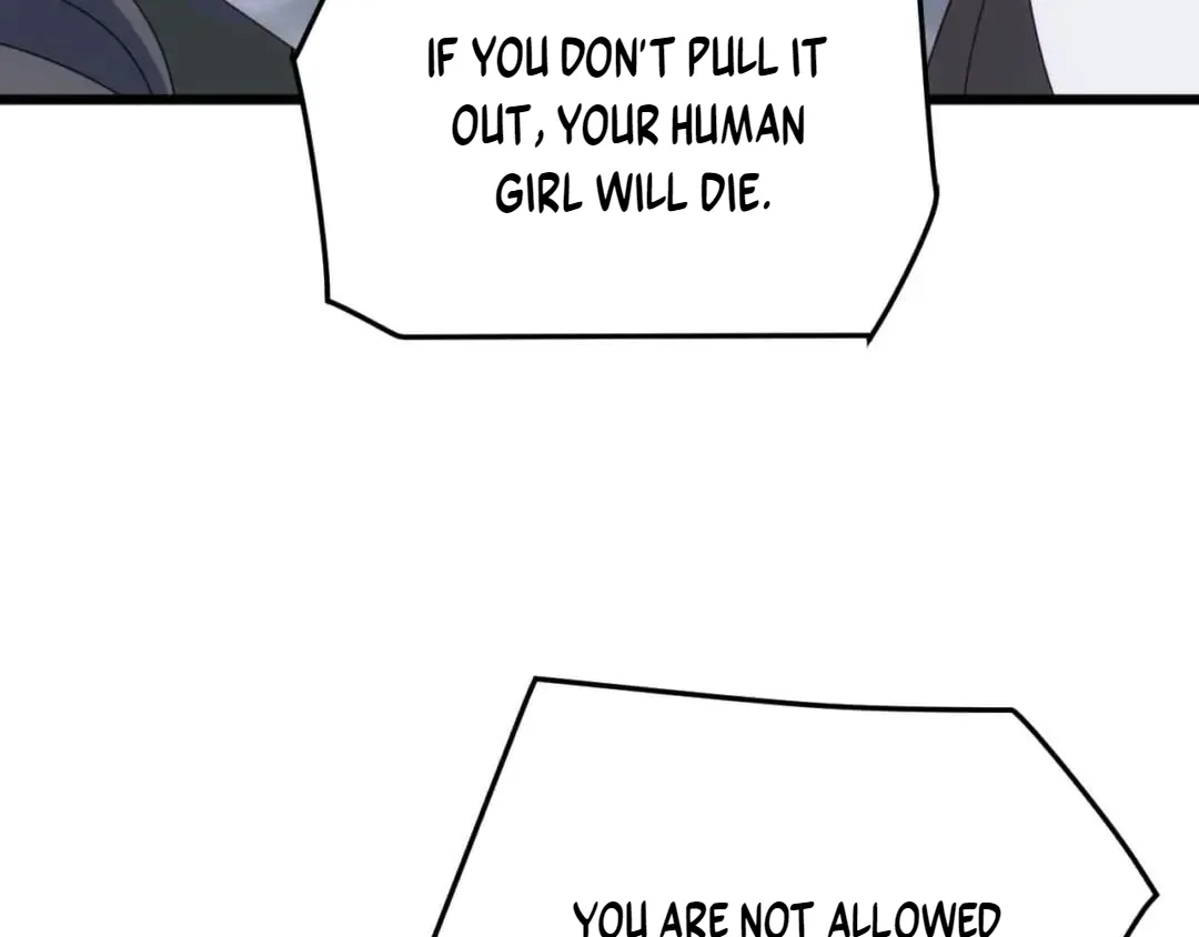 2efef4c009ac