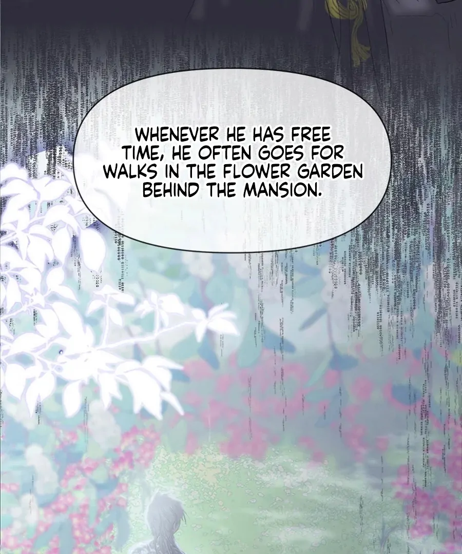 My Destiny, It’s Time to Get It Back Chapter 19 433 036