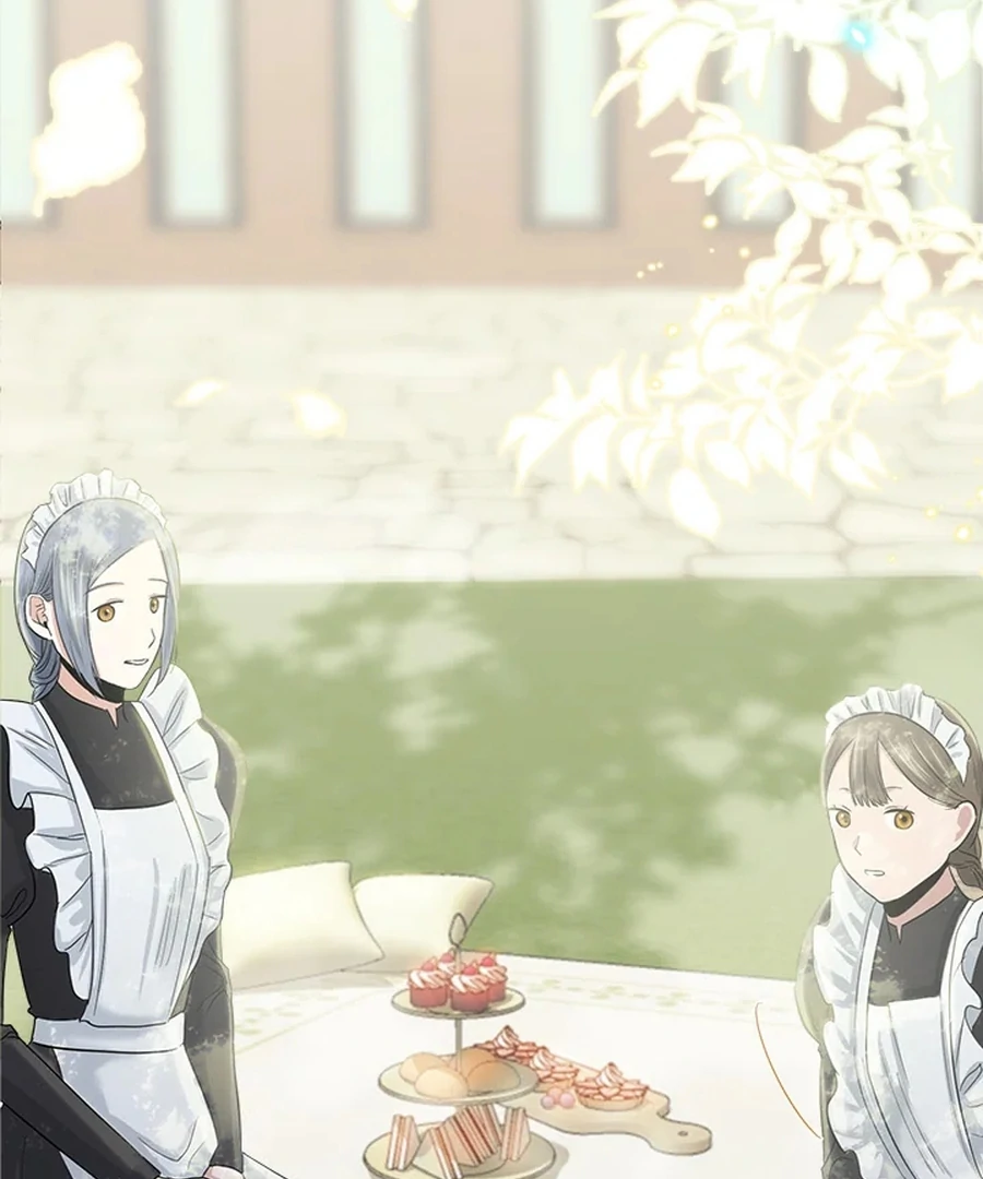 My Destiny, It’s Time to Get It Back Chapter 19 439 042