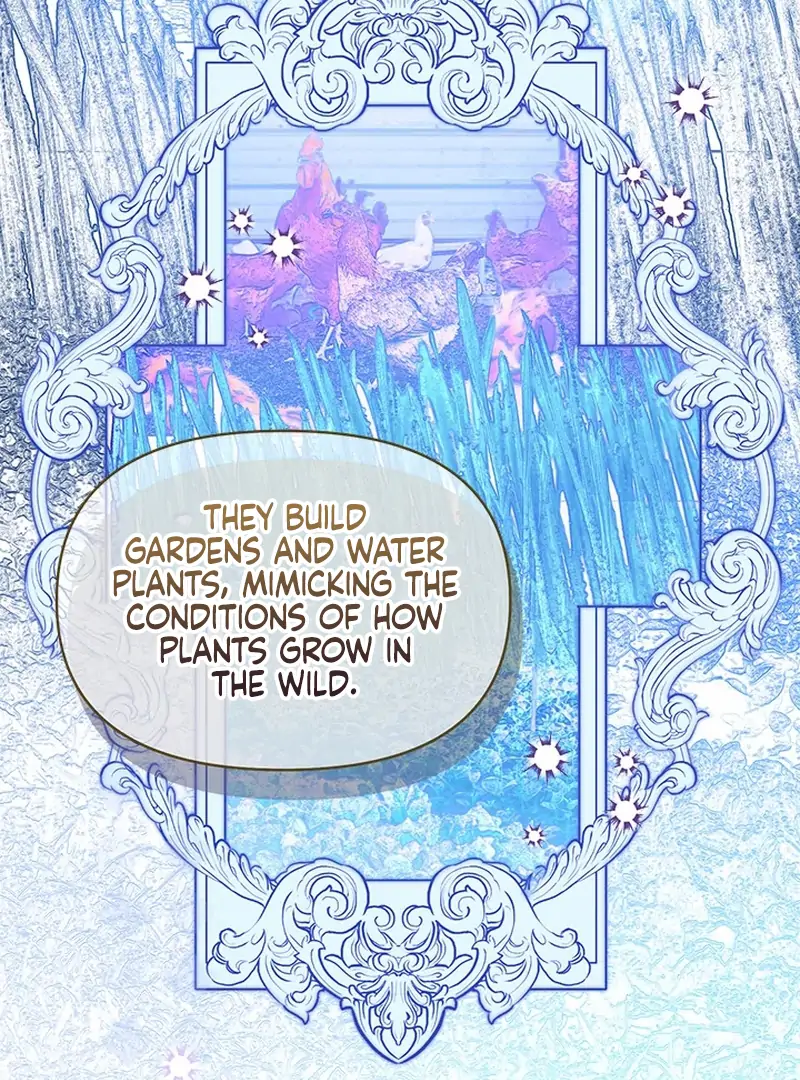 My Destiny, It’s Time to Get It Back Chapter 25 388 042