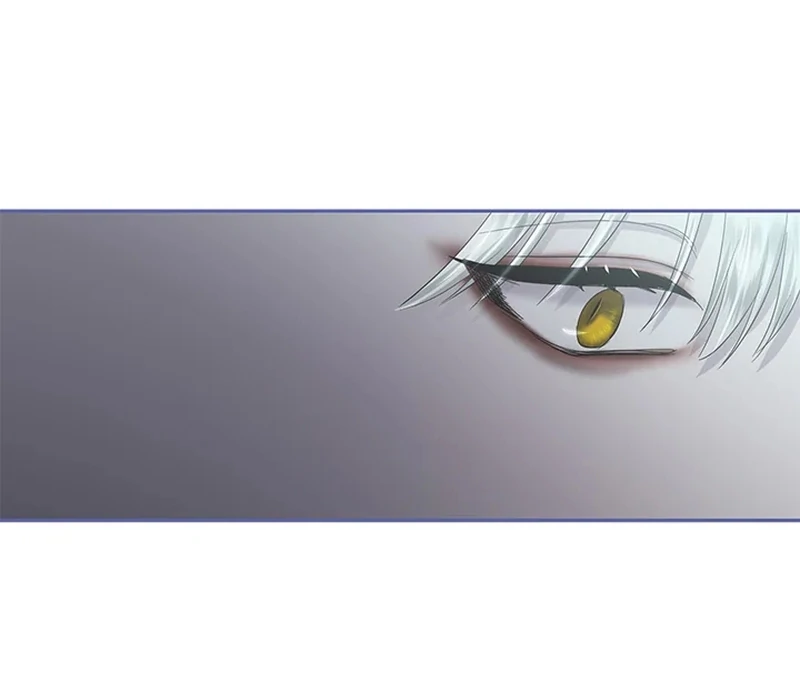 My Destiny, It’s Time to Get It Back Chapter 25 431 085