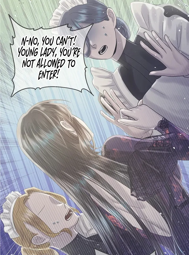 My Destiny, It’s Time to Get It Back Chapter 26 441 089