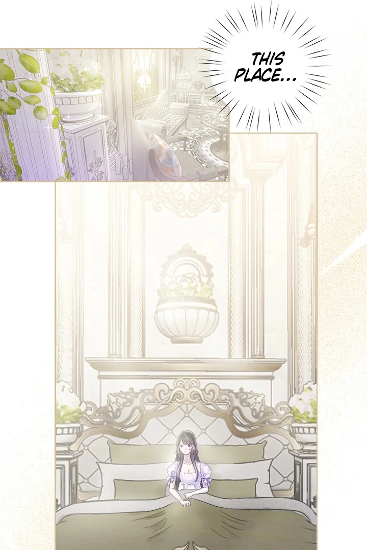 My Destiny, It’s Time to Get It Back Chapter 31 319 21