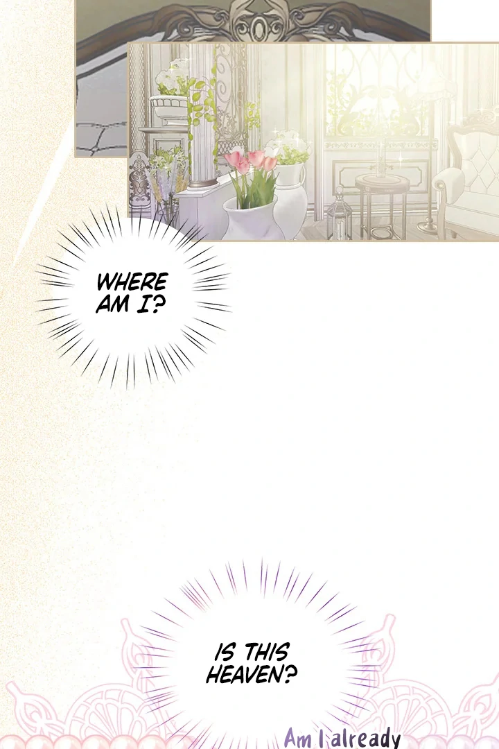 My Destiny, It’s Time to Get It Back Chapter 31 320 22