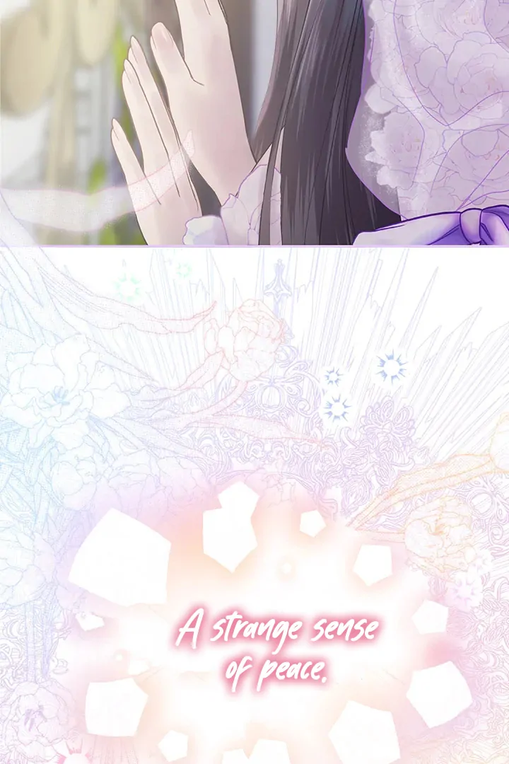 My Destiny, It’s Time to Get It Back Chapter 31 332 34