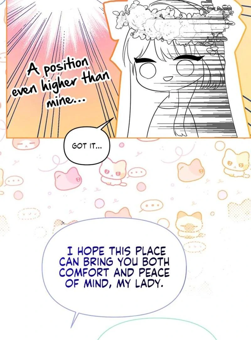 My Destiny, It’s Time to Get It Back Chapter 34 370 036