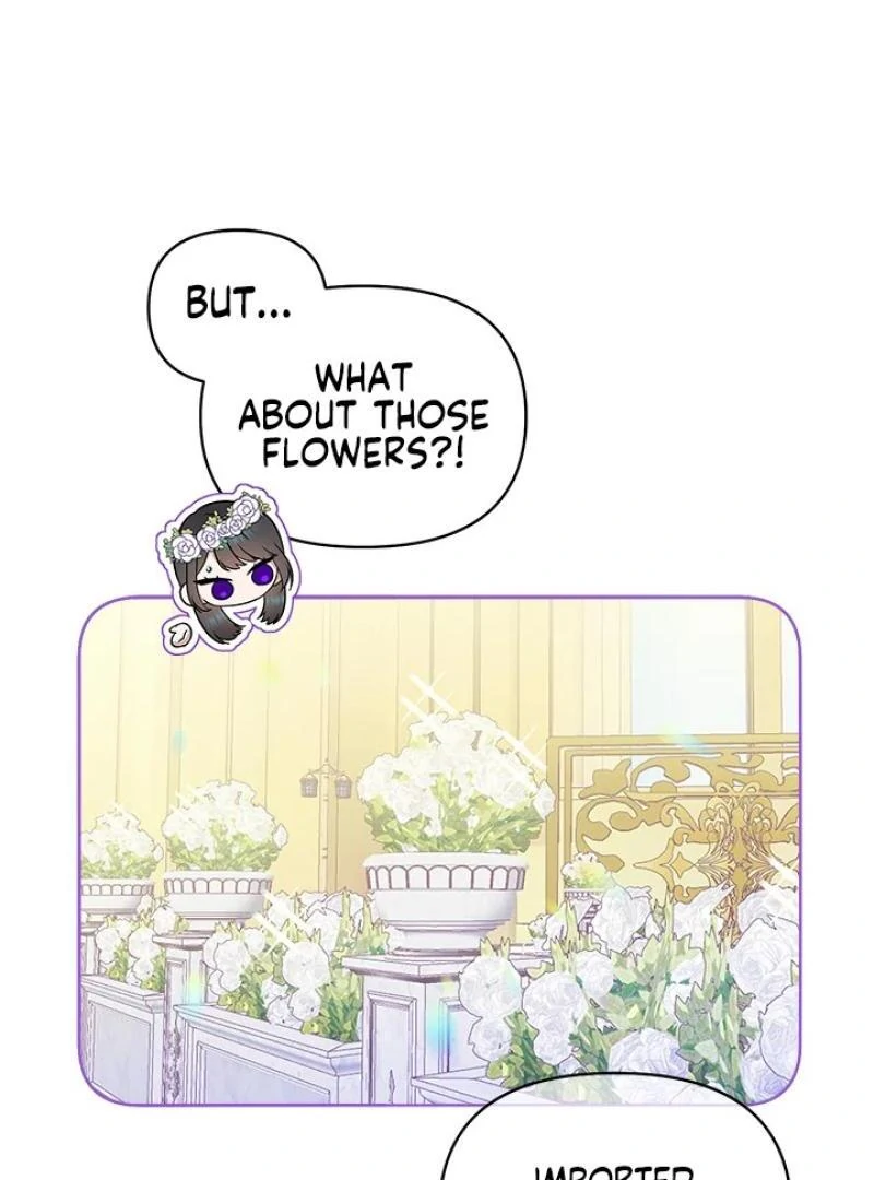 My Destiny, It’s Time to Get It Back Chapter 34 401 067