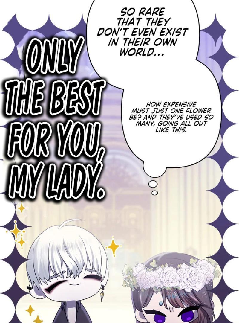 My Destiny, It’s Time to Get It Back Chapter 34 408 074