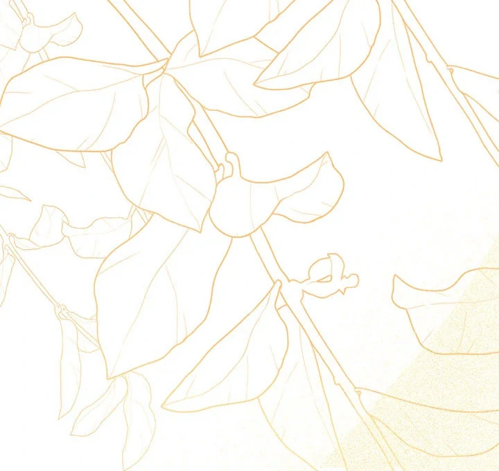 My Destiny, It’s Time to Get It Back Chapter 36 357 011