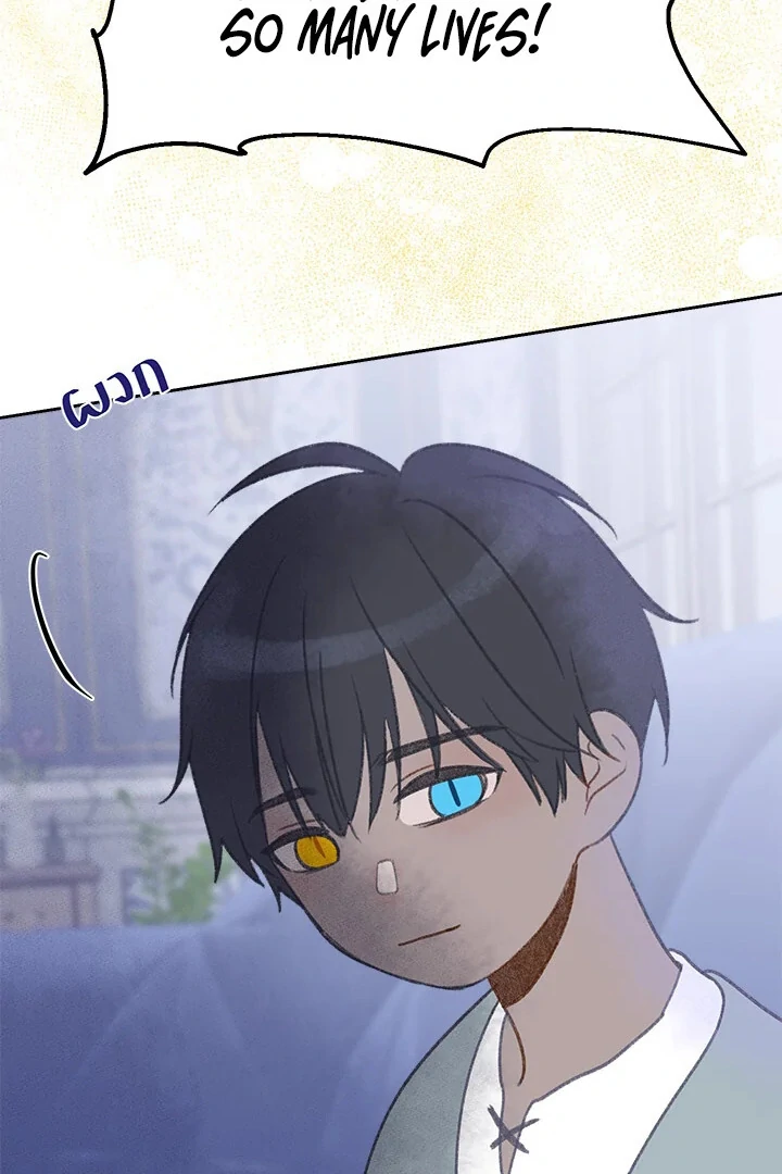 My Destiny, It’s Time to Get It Back Chapter 37 329 016