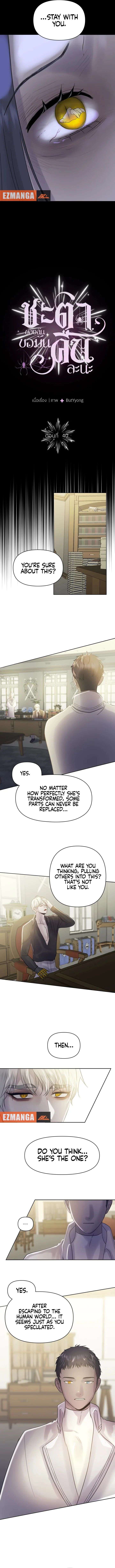 ch 40 2