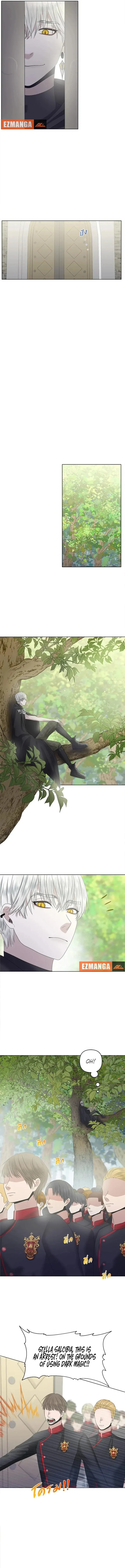 My Destiny, It’s Time to Get It Back Chapter 9 51 05