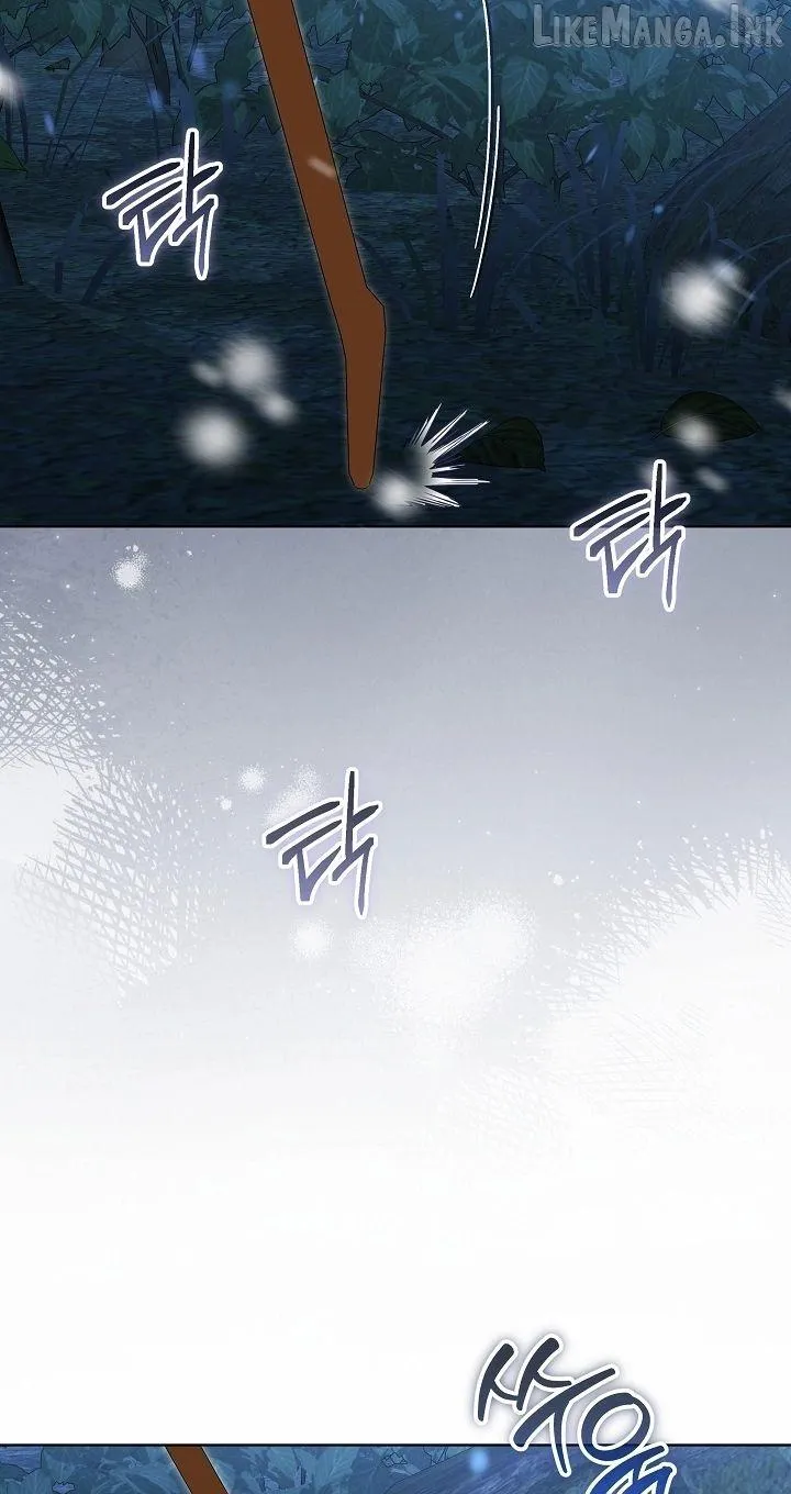 a81c1164b2f6