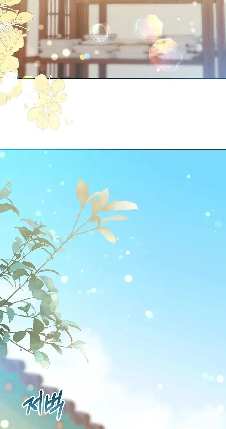 7ea6c7e08b50
