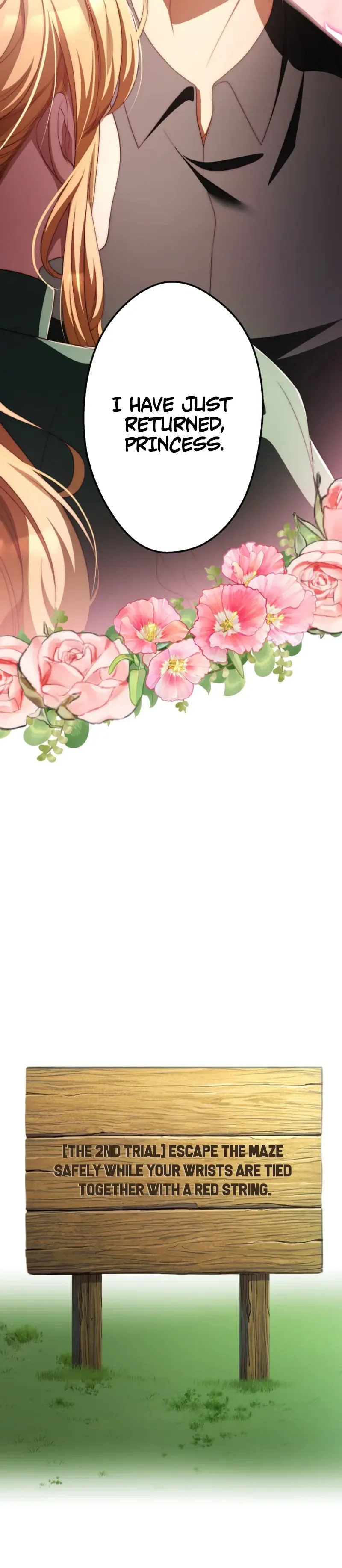 81fe16512fdd 14 webp