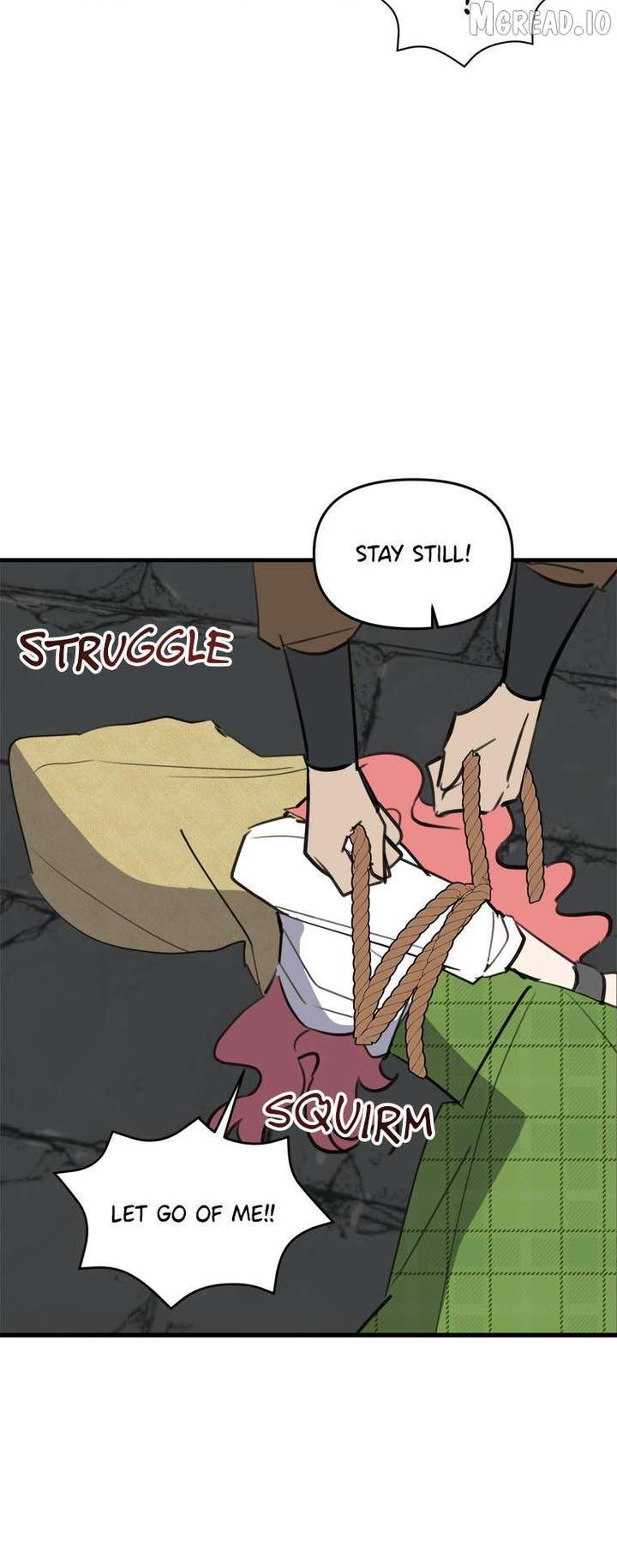 ch 48 28