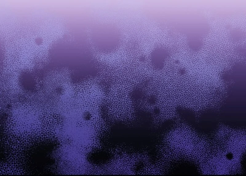 010