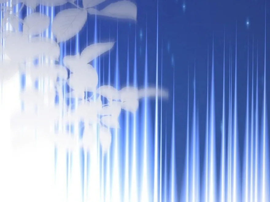 0f917223e7ac
