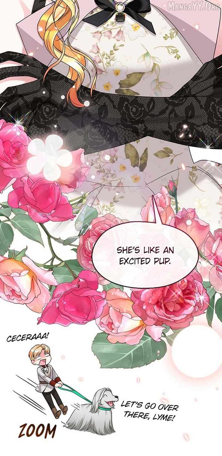 ch 79 11