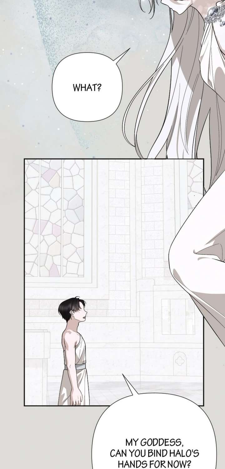 51