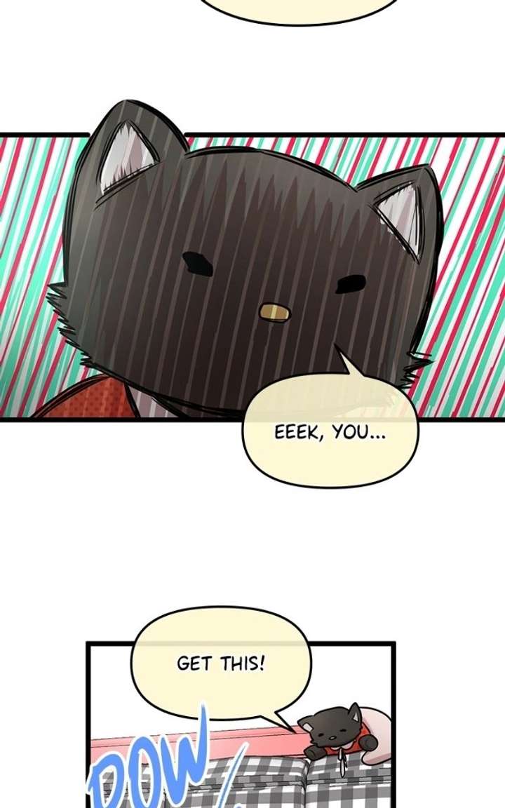 ch 81 24