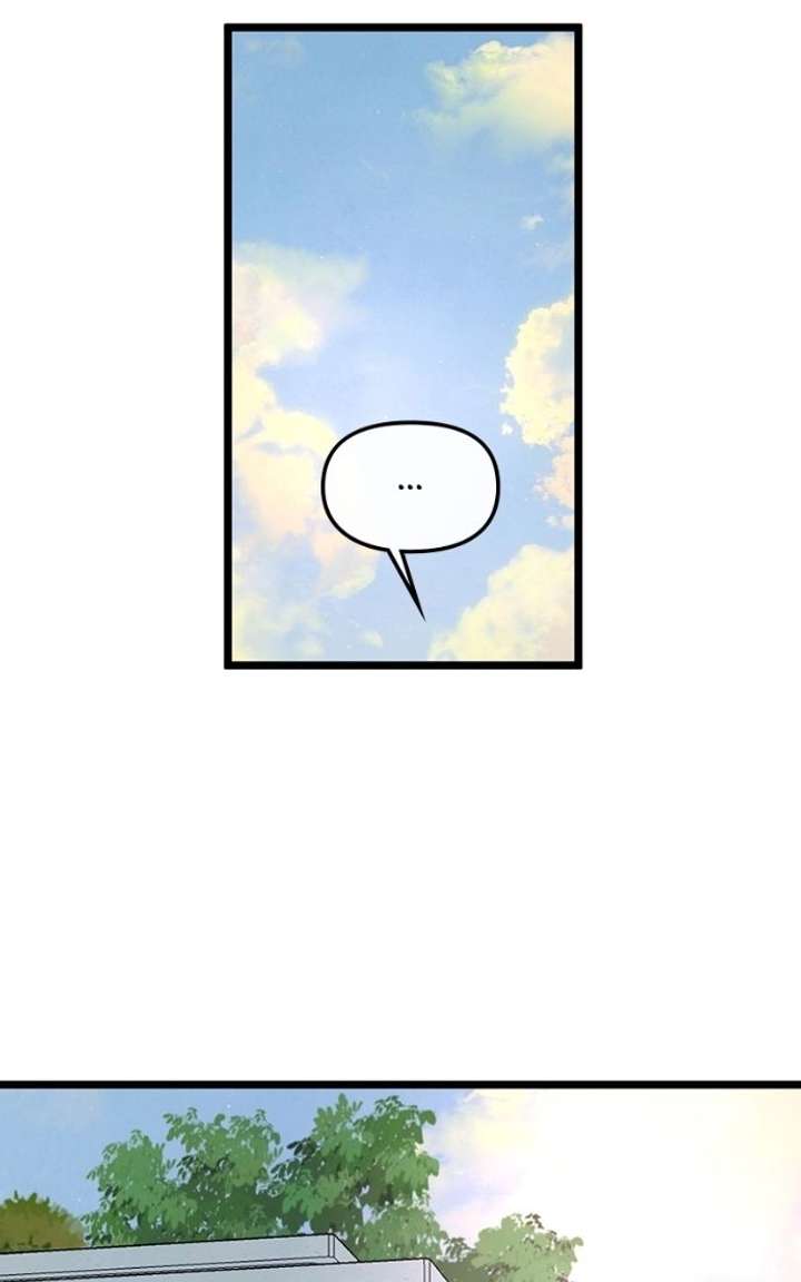 ch 85 88