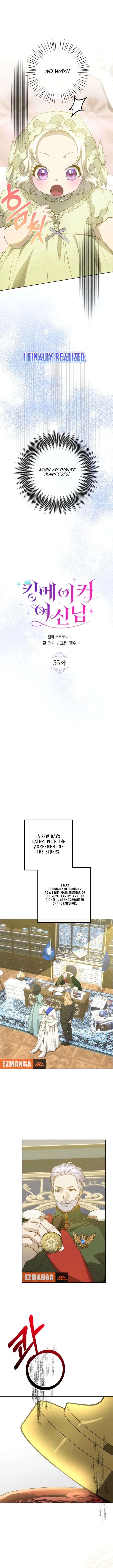 ch 55 6