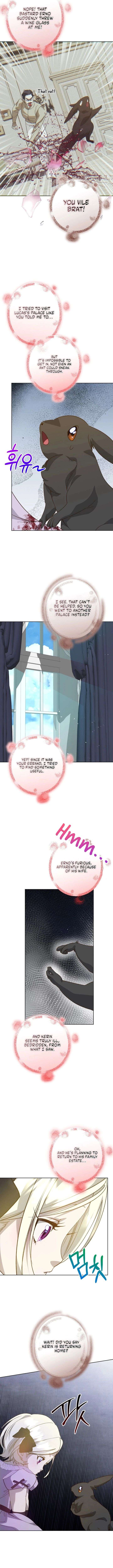 ch 56 4