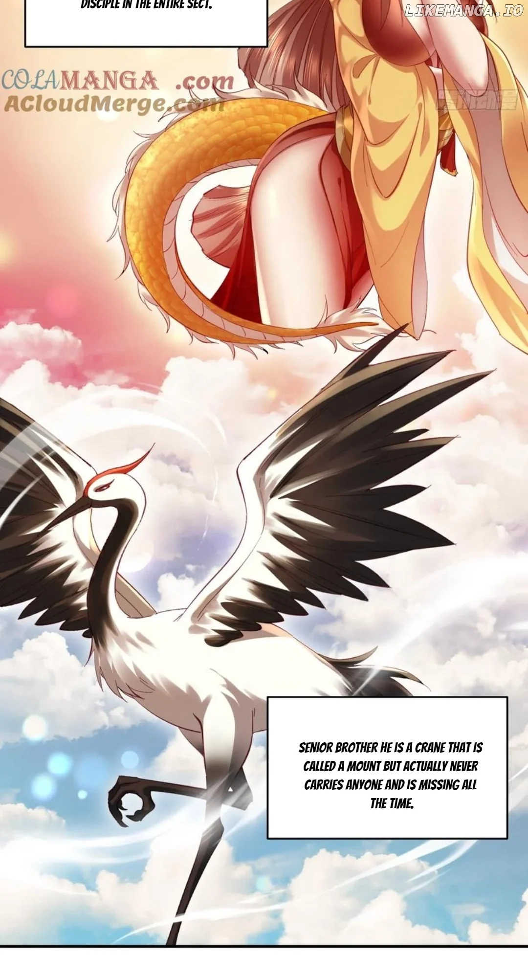 ch 46 6