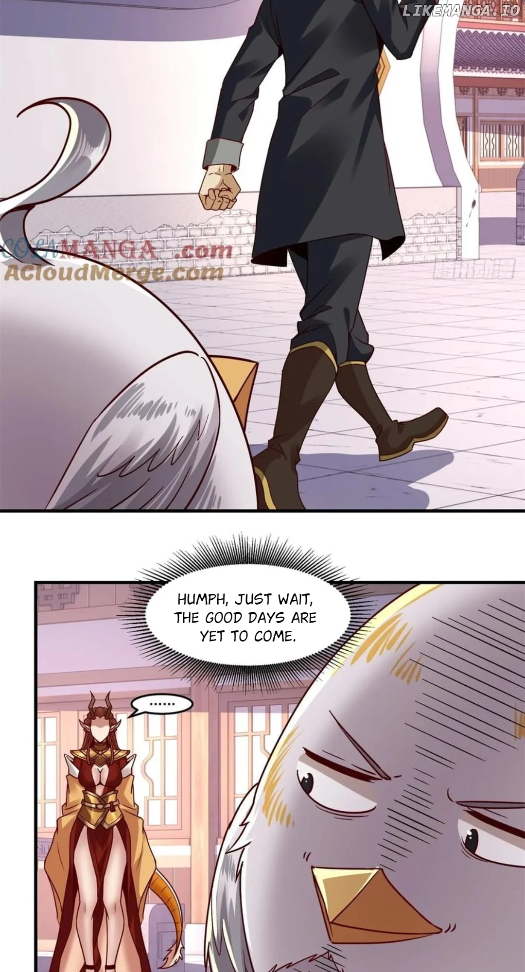 ch 48 19