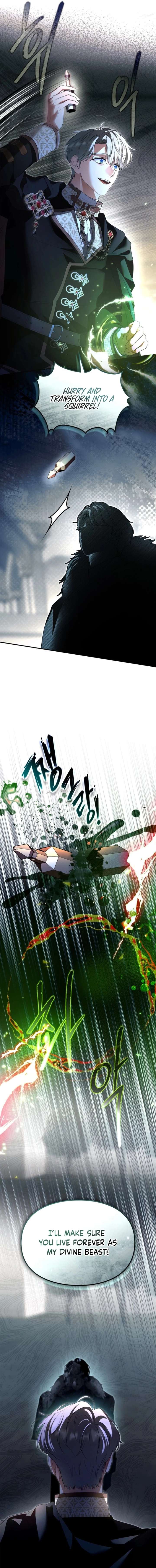 ch 67 17
