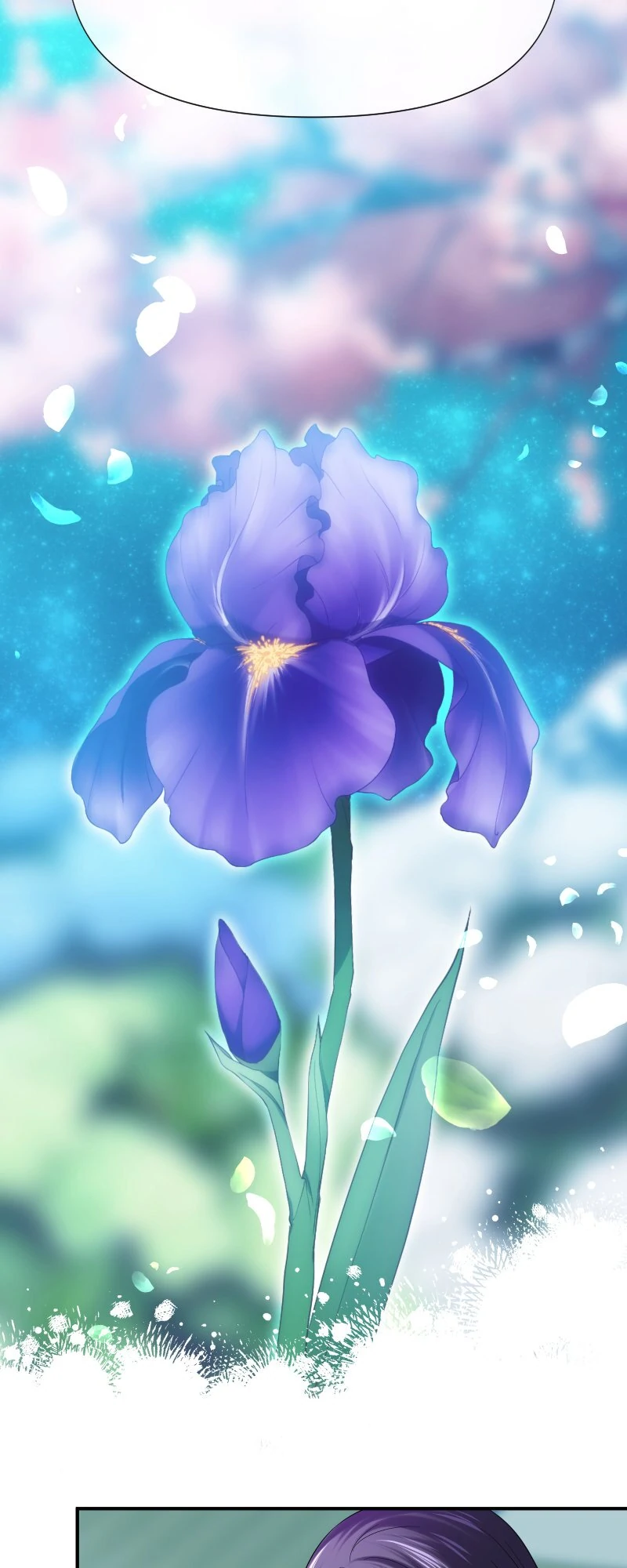 51