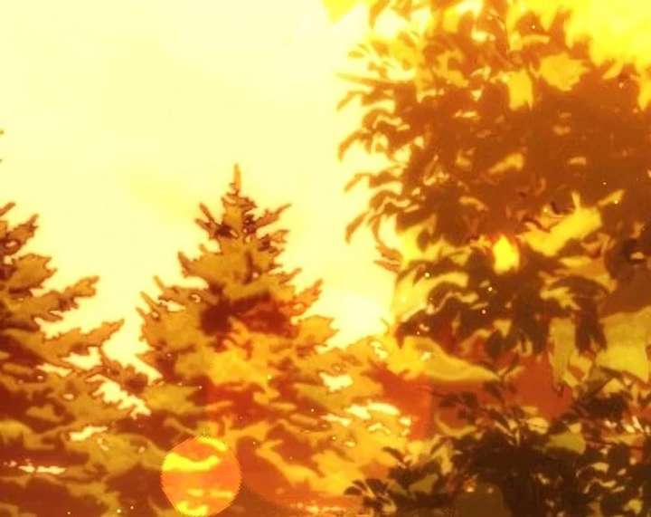 066