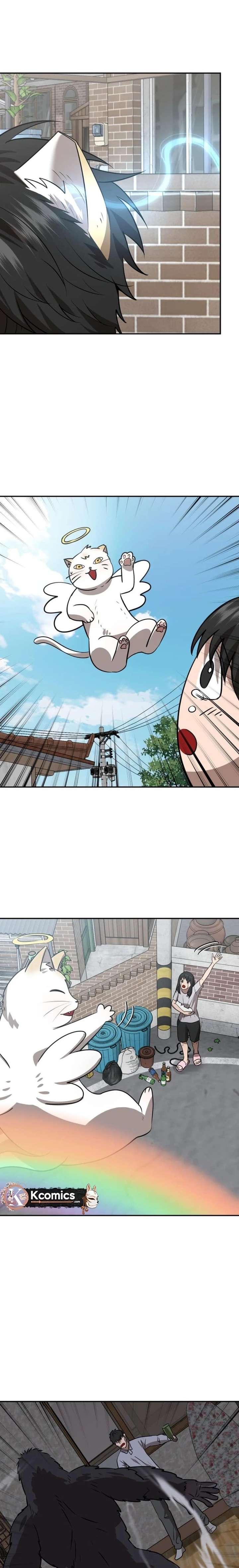 009
