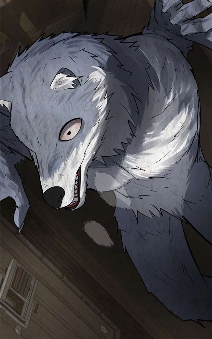 ch 50 100