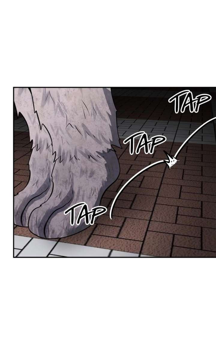 ch 50 114