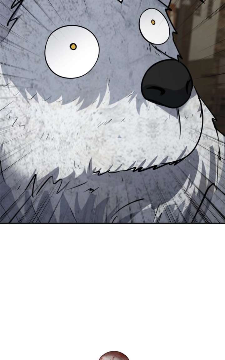 ch 50 18