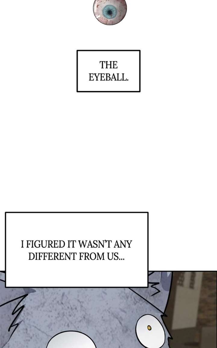 ch 50 19