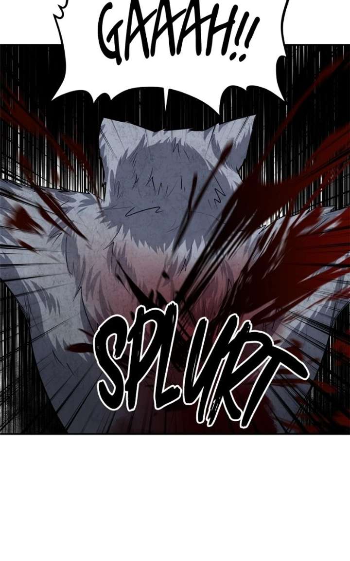 ch 50 28